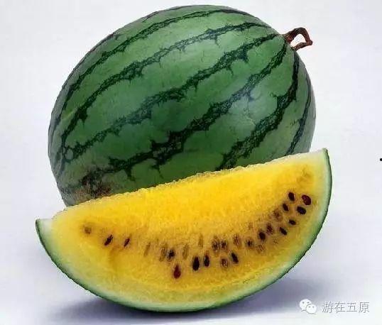 西瓜娱乐吃瓜,揭秘娱乐圈吃瓜群众的狂欢盛宴