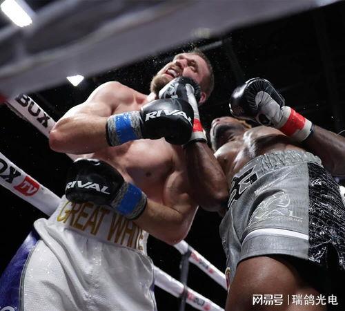 吃瓜娱乐拳击比赛直播回放,回顾精彩拳击比赛直播回放